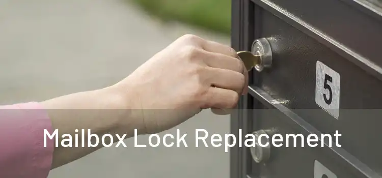  Mailbox Lock Replacement 